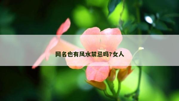 网名也有风水禁忌吗?女人