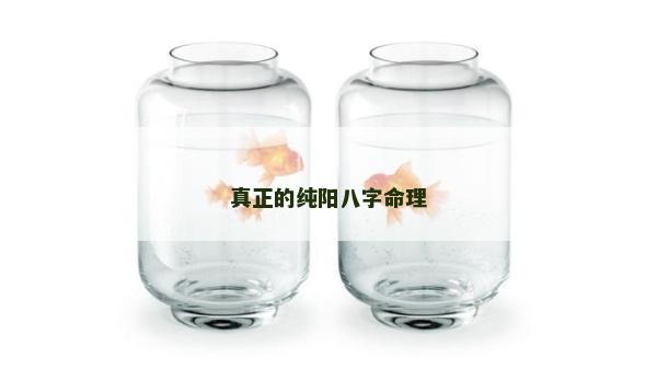 真正的纯阳八字命理