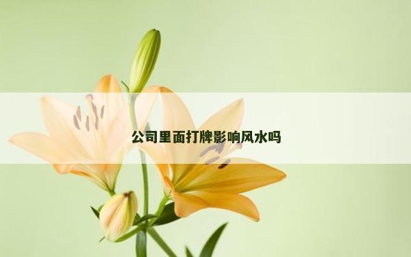 公司里面打牌影响风水吗