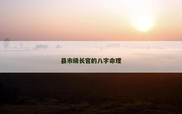 县市级长官的八字命理