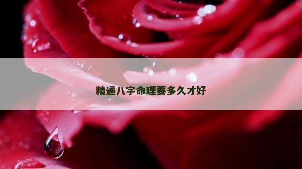 精通八字命理要多久才好