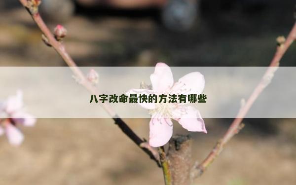 八字改命最快的方法有哪些