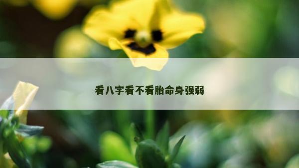 看八字看不看胎命身强弱