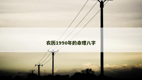 农历1990年的命理八字