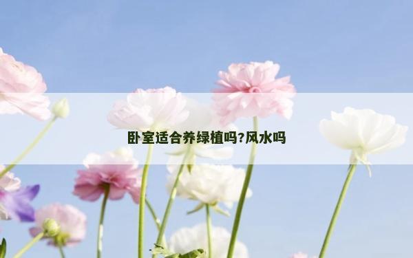 卧室适合养绿植吗?风水吗
