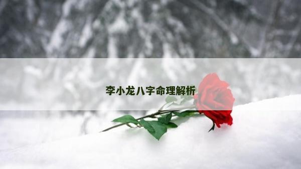 李小龙八字命理解析