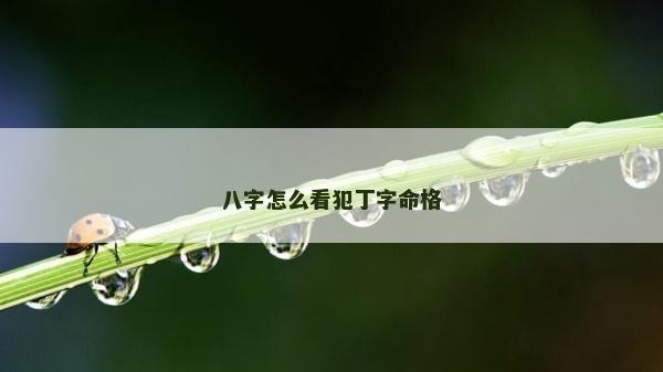 八字怎么看犯丁字命格