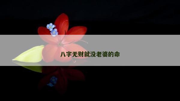 八字无财就没老婆的命