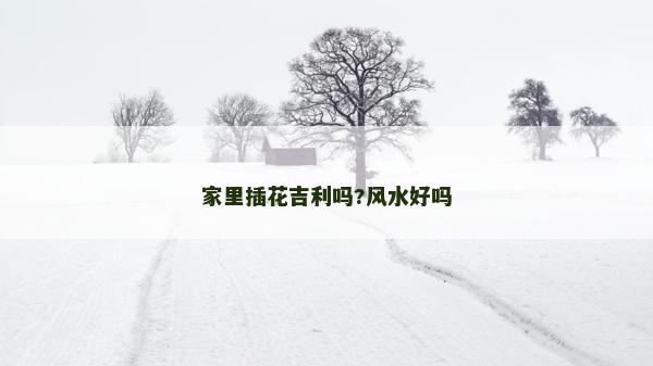 家里插花吉利吗?风水好吗