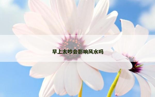 早上太吵会影响风水吗