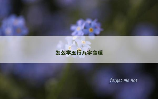 怎么学五行八字命理