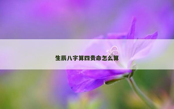 生辰八字算四贵命怎么算