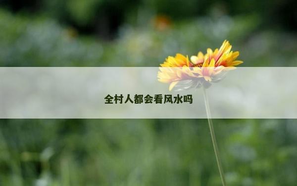 全村人都会看风水吗