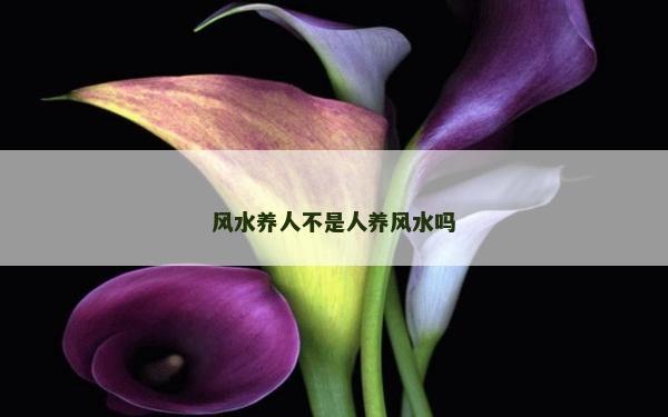 风水养人不是人养风水吗