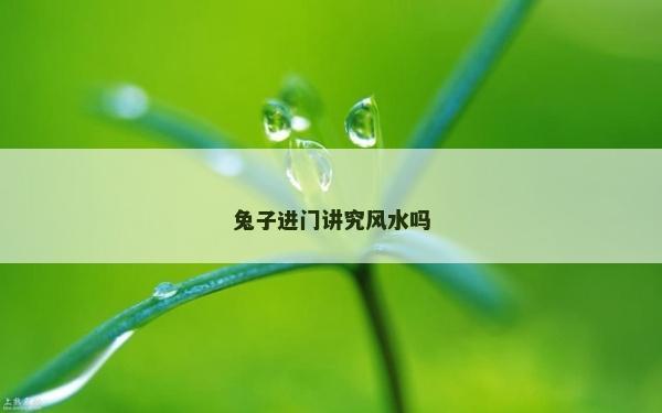 兔子进门讲究风水吗