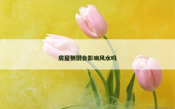 房屋侧倒会影响风水吗