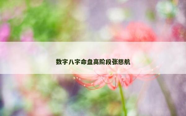 数字八字命盘高阶段张慈航