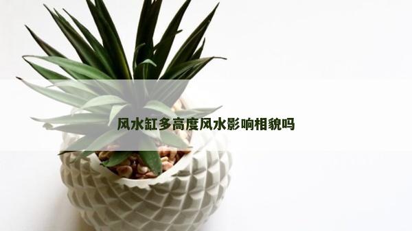 风水缸多高度风水影响相貌吗