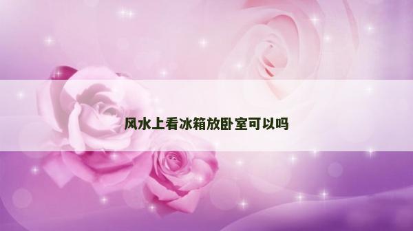风水上看冰箱放卧室可以吗