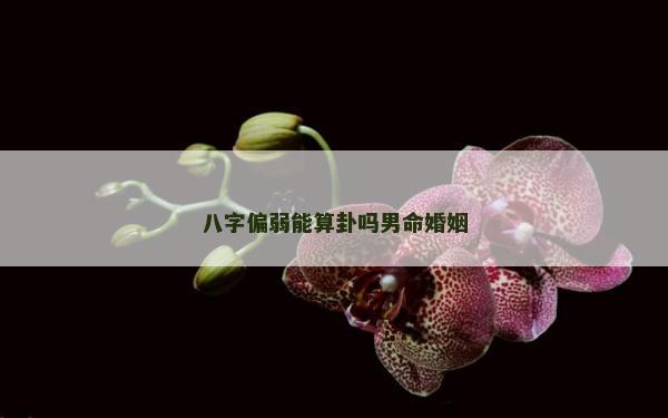 八字偏弱能算卦吗男命婚姻