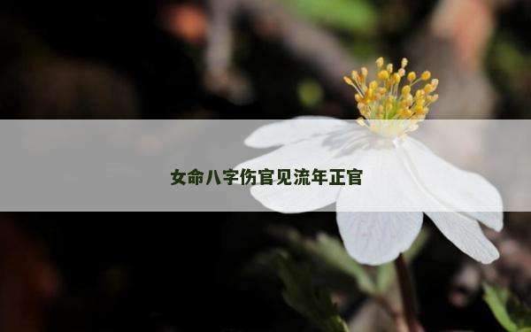 女命八字伤官见流年正官