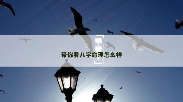 带你看八字命理怎么样