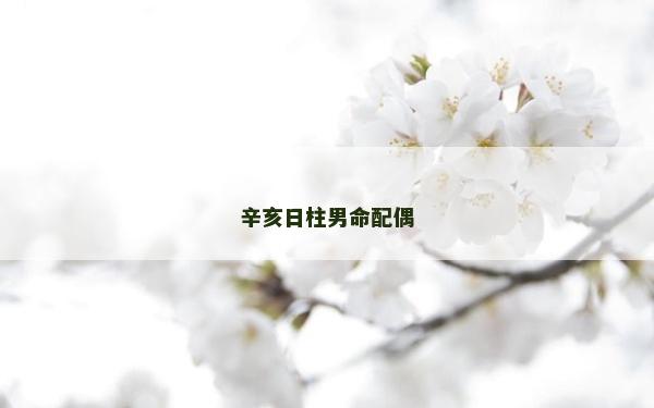 辛亥日柱男命配偶