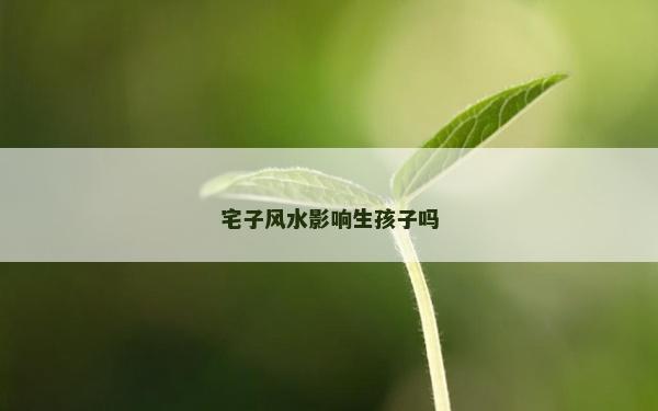 宅子风水影响生孩子吗