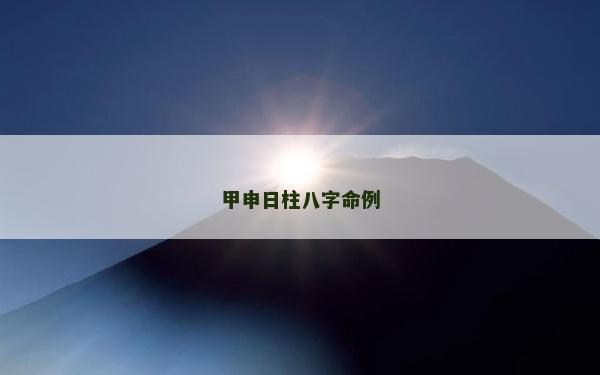 甲申日柱八字命例