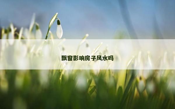 飘窗影响房子风水吗