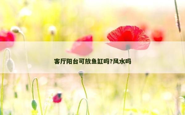 客厅阳台可放鱼缸吗?风水吗