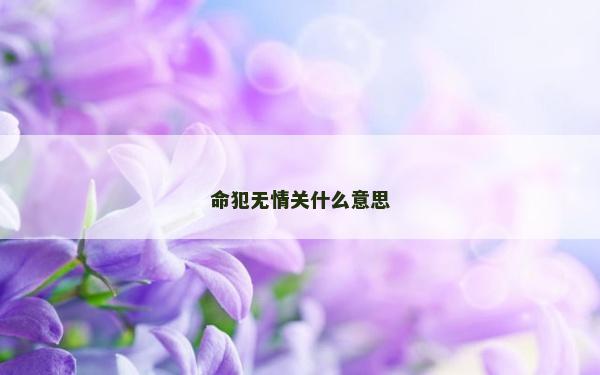 命犯无情关什么意思