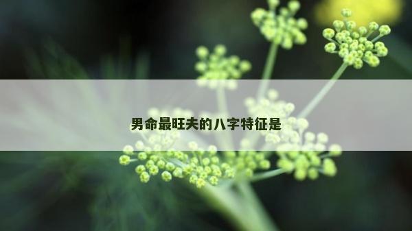 男命最旺夫的八字特征是
