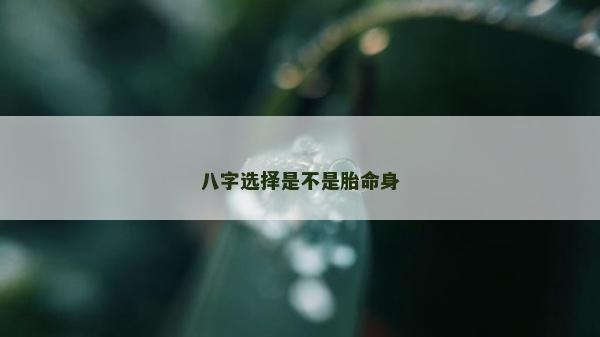 八字选择是不是胎命身