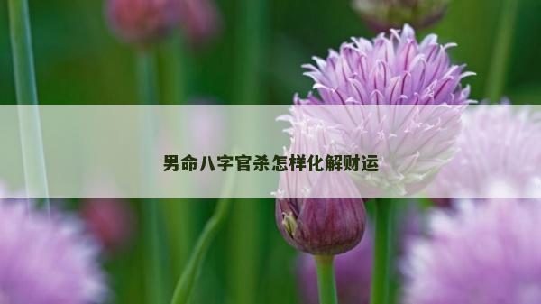男命八字官杀怎样化解财运
