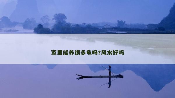 家里能养很多龟吗?风水好吗