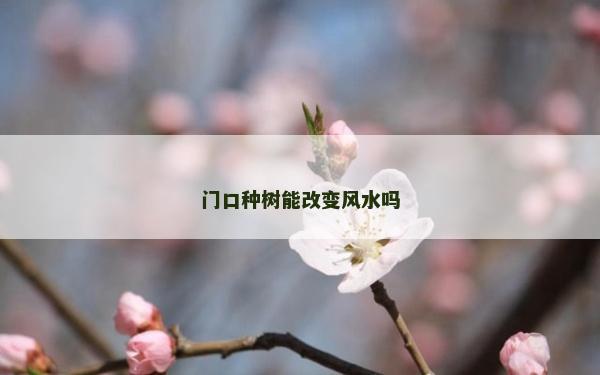 门口种树能改变风水吗