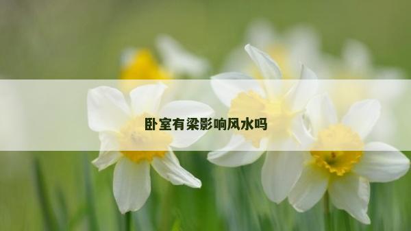 卧室有梁影响风水吗