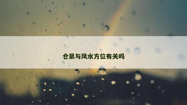仓鼠与风水方位有关吗