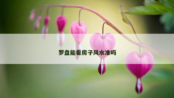 罗盘能看房子风水准吗