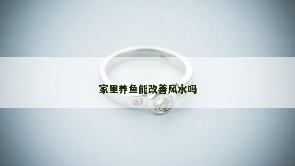 家里养鱼能改善风水吗