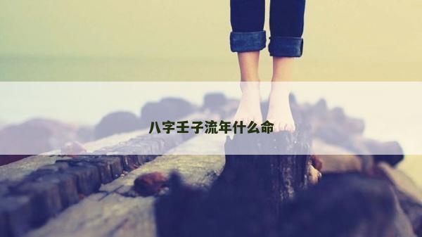 八字壬子流年什么命