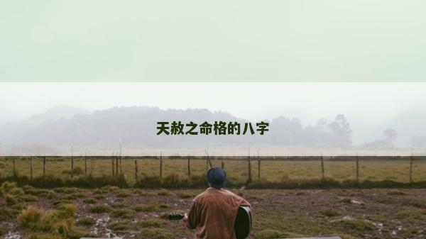 天赦之命格的八字