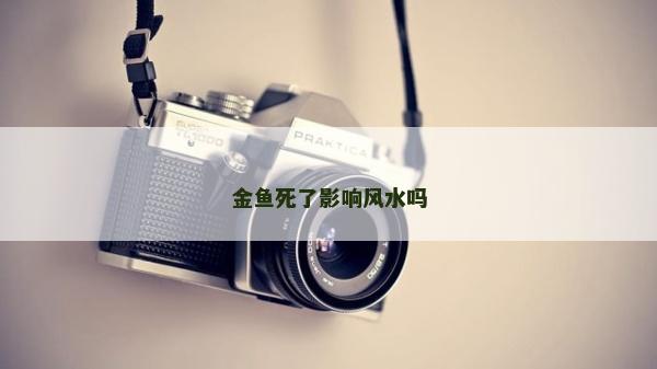 金鱼死了影响风水吗