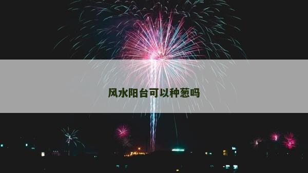 风水阳台可以种葱吗
