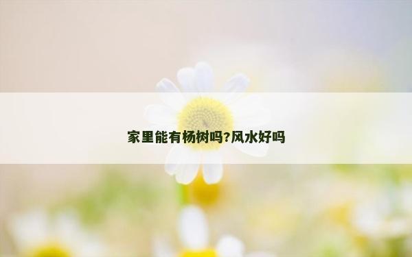 家里能有杨树吗?风水好吗