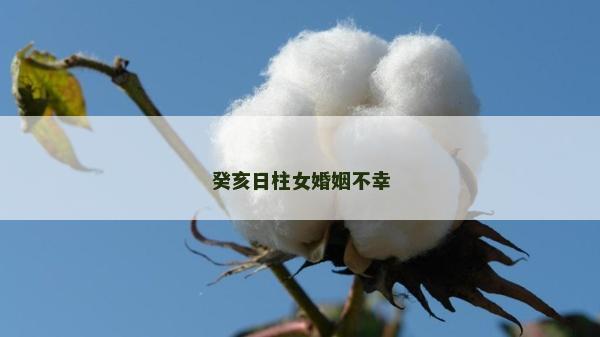 癸亥日柱女婚姻不幸