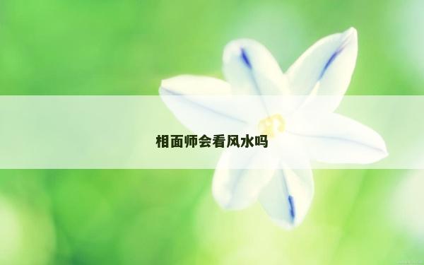 相面师会看风水吗