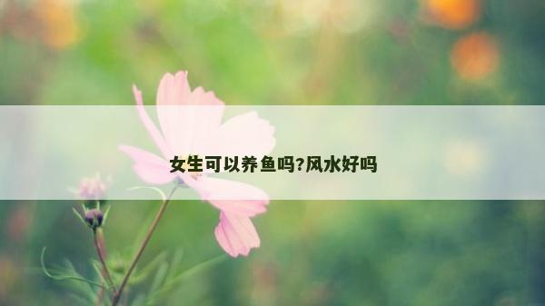 女生可以养鱼吗?风水好吗