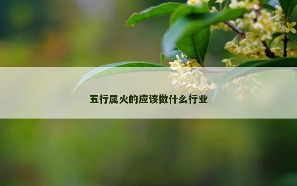 五行属火的应该做什么行业
